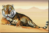 Tiger in Sand