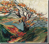 Tree in Autumn