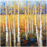 Birch Forest