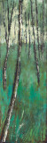 Nature's Companions II