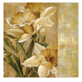 Champagne Daffodils I