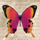 Butterflies III