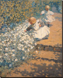Picking Flowers