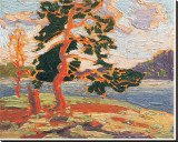 The Pine Tree