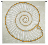 Ammonite