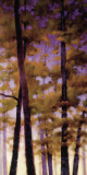 Purple Wood II
