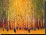 Aspen Glow