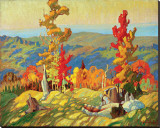 Autumn in the Northland
