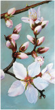 Almond Panel III