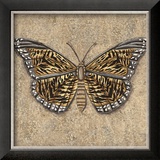 Tiger Butterfly