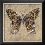 Leopard Butterfly
