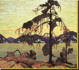 The Jack Pine