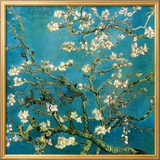 Almond Branches in Bloom  San Remy  c1890