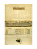 Book Cover 23