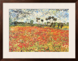 Field of Poppies  Auvers-Sur-Oise  c1890