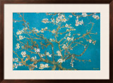 Almond Branches in Bloom  San Remy  c1890