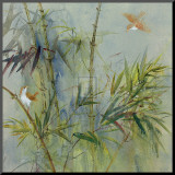 Bambu II