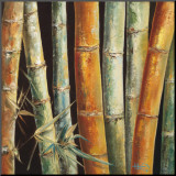 Caribbean Bamboo I