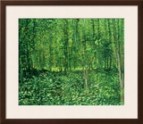 Woods and Undergrowth  c1887