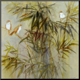Bambu I