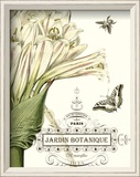 Jardin Botanique II