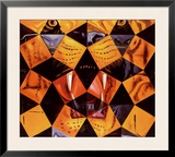 Cinquenta  Tigre Real