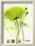 Coquelicot Vert I