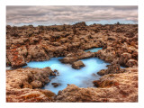 The Alien Pool