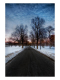 A Chilly Morning in Boston Common