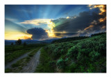 The Dirt Road to the Nuclear Blast Site