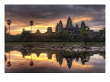 The Lotus Sunrise