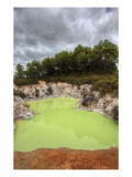 The Green Pool