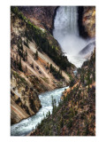 The Falls of Yellowstone
