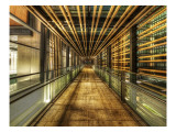 The Tunnel to the Singularity