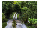 Your Road Ahead