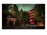 Ancient Nikko