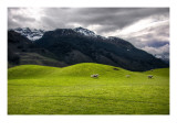 The Soft Hills on the way to Paradise  New Zealand
