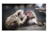 A Gentle Kiss in the Hot Tub