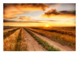 The Lonely Road to the Dinosaur Dig