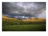 The Rainbow After the Storm