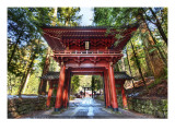 Red Gate After Rain