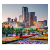 Downtown Dallas from the Flower Market