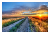 Long Road in Montana