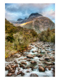 A Gentle Stream Through New Zealand