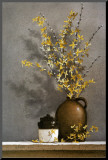 Forsythia