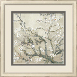 Almond Branches in Bloom  San Remy  c1890 (tan)