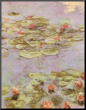 Red Water Lilies