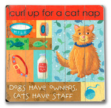 Cat Nap