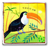 Toucan Bird