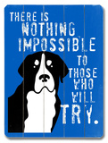 Nothing Impossible